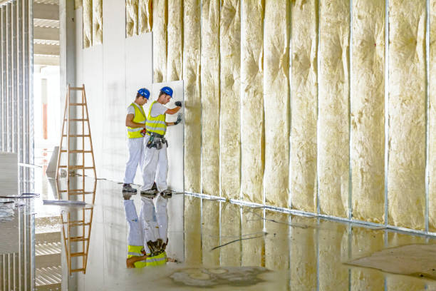 Types of Insulation We Offer in University Of California Santa Barbara, CA